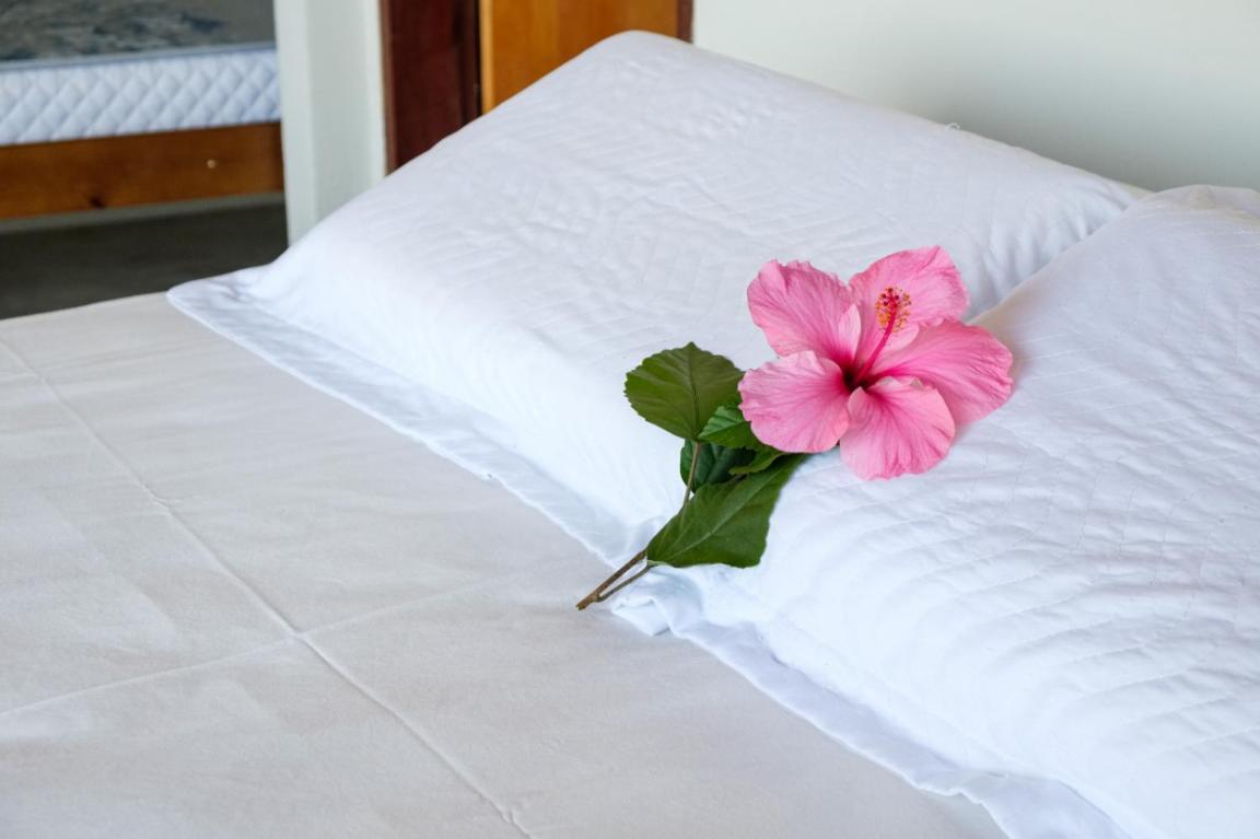 Haleiwa Chales E Suites - A Guest House Do Prumirim Ubatuba Buitenkant foto